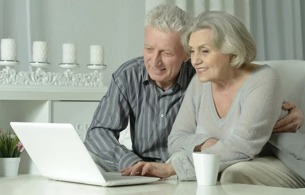 Senior couple  with laptop — Stock Photo, Image