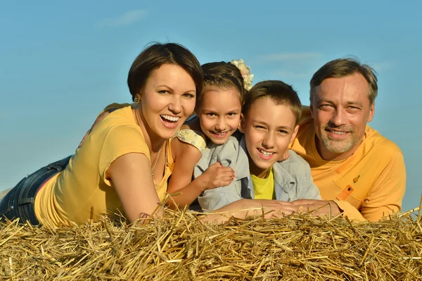 Lycklig familj på fältet — Stockfoto