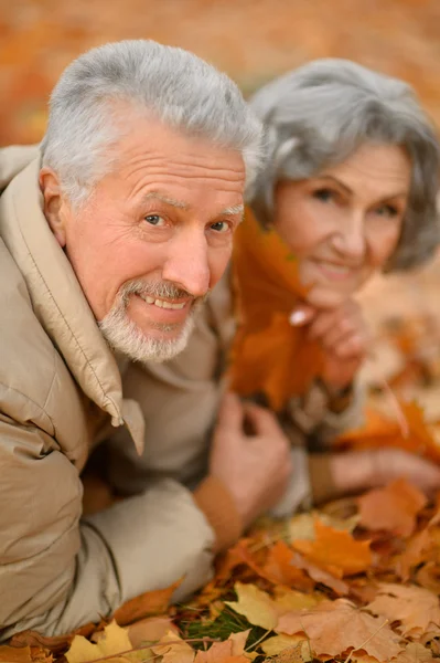 Pareja mayor en el parque de otoño — Foto de Stock