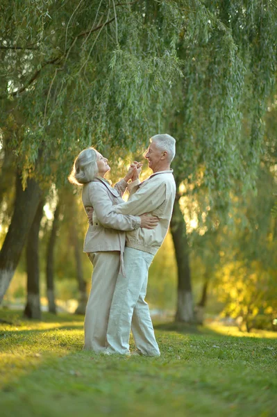 Pareja mayor en el parque de otoño — Foto de Stock