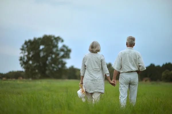 Senior couple  in summer field — Stock Photo, Image