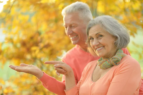 Senior par i höstparken — Stockfoto