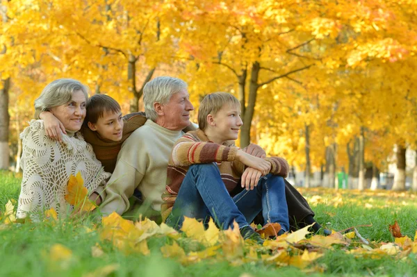 Бабушка и дедушка с детьми в парке — стоковое фото