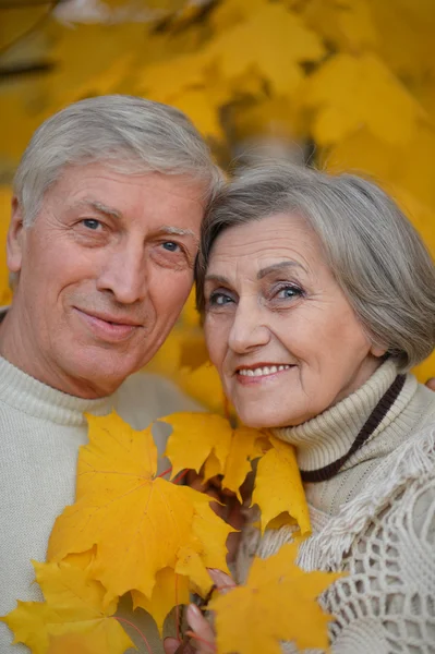 Couple sénior dans le parc d'automne — Photo