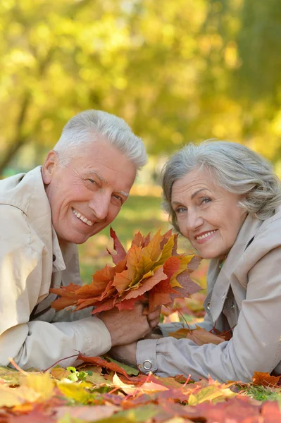 Coppia Senior nel parco autunnale — Foto Stock