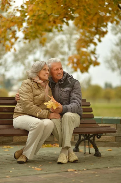 Senior koppel zittend op een bankje in het park — Stockfoto