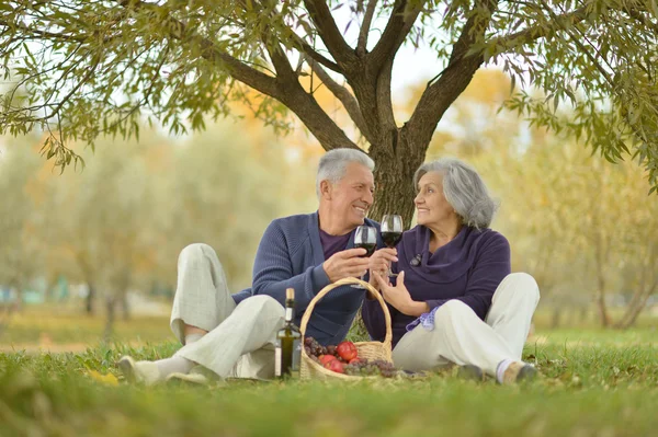 Gelukkige volwassen paar met picknick — Stockfoto