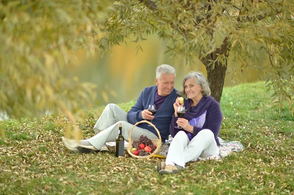 Happy mature couple having picnic — Stock Photo, Image