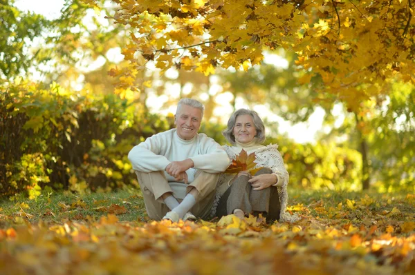 Seniorenpaar in herfstpark — Stockfoto