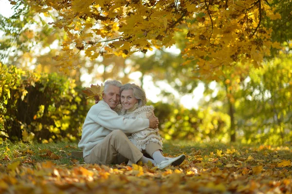 Pareja mayor en el parque de otoño — Foto de Stock