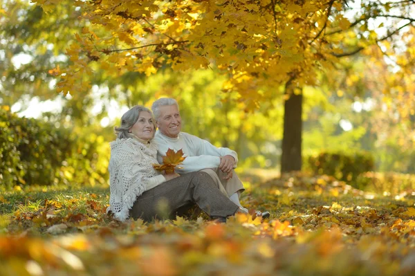 Casal sênior no parque de outono — Fotografia de Stock