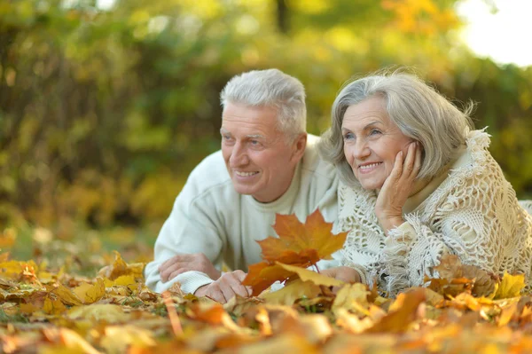 Coppia Senior nel parco autunnale — Foto Stock