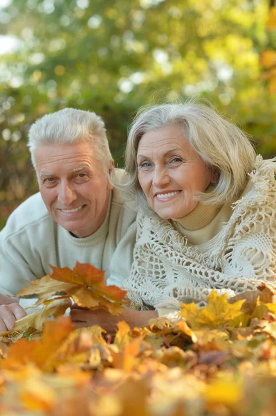 Pareja mayor en el parque de otoño — Foto de Stock