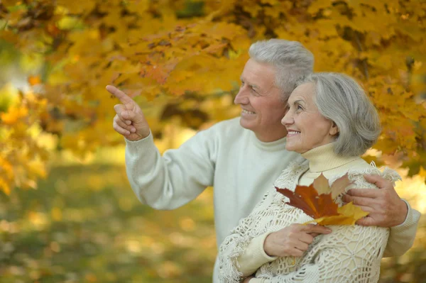 Senior par i höstparken — Stockfoto