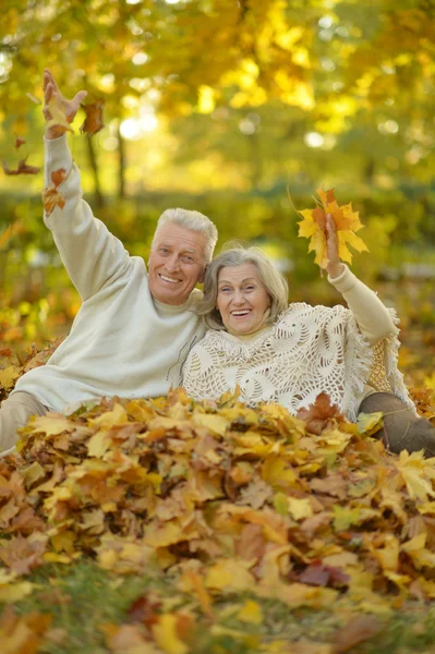 Senior par i höstparken — Stockfoto