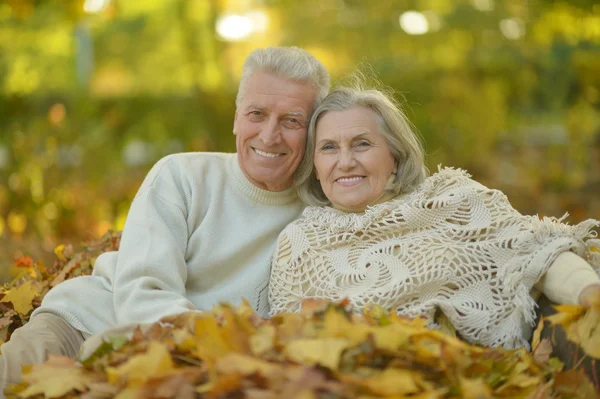 Pareja mayor en el parque de otoño — Foto de Stock