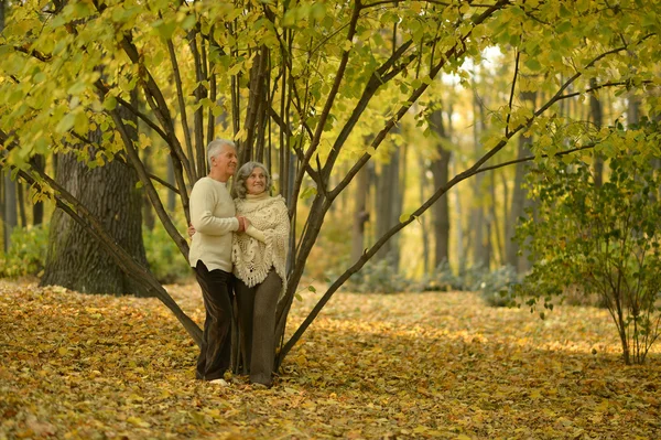 Старшая пара в осеннем парке — стоковое фото