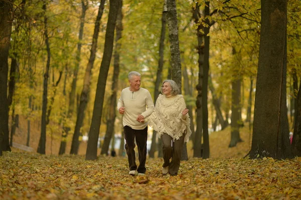 Pareja mayor en el parque de otoño — Foto de Stock