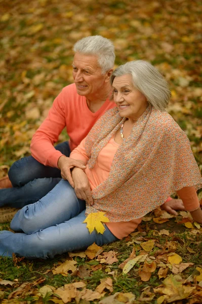 Coppia Senior nel parco autunnale — Foto Stock