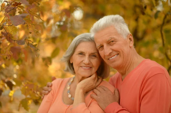 Pareja mayor en el parque de otoño — Foto de Stock