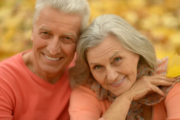 Pareja mayor en el parque de otoño —  Fotos de Stock