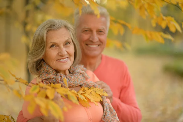 Seniorenpaar im Herbstpark — Stockfoto