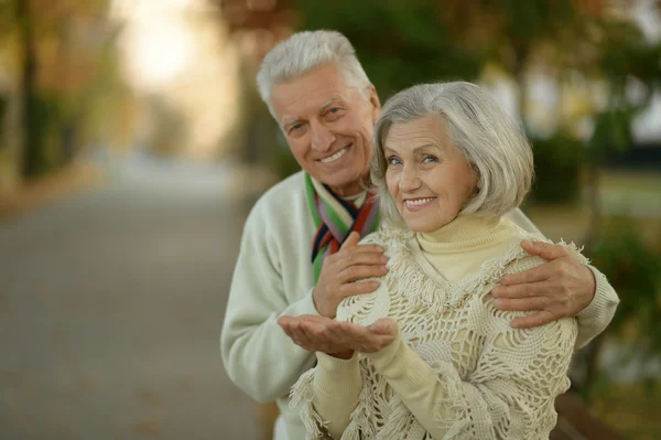 Coppia Senior nel parco autunnale — Foto Stock