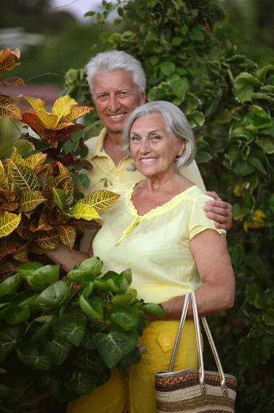 Pareja de ancianos en jardín tropical — Foto de Stock