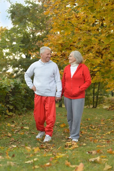 Senior couple in autumn park — Stock Photo, Image