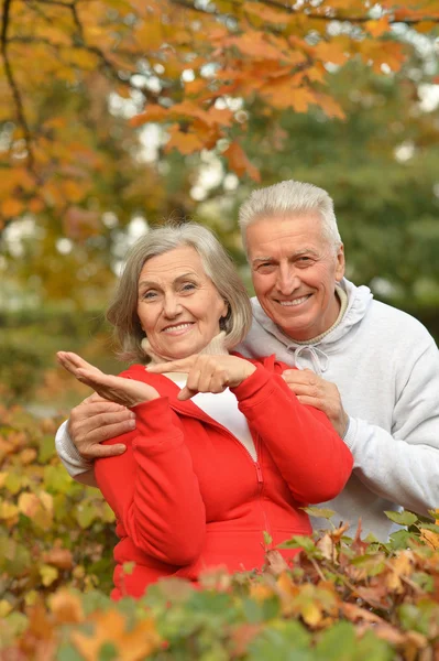 Seniorenpaar in herfstpark — Stockfoto