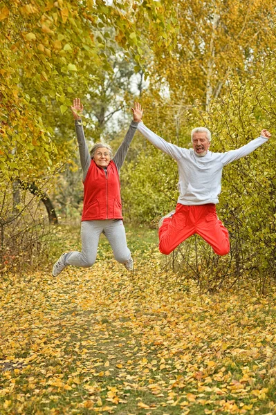 Senior par i höstparken — Stockfoto