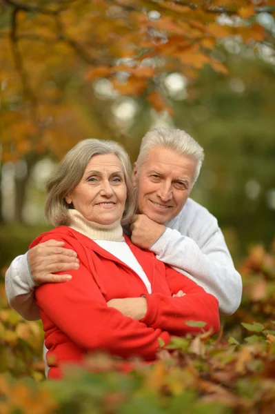 Senior couple in autumn park — Stock Photo, Image