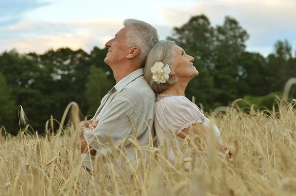 Heureux couple de personnes âgées en été — Photo