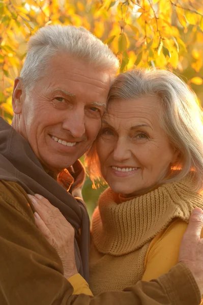 Pareja mayor en el parque de otoño —  Fotos de Stock