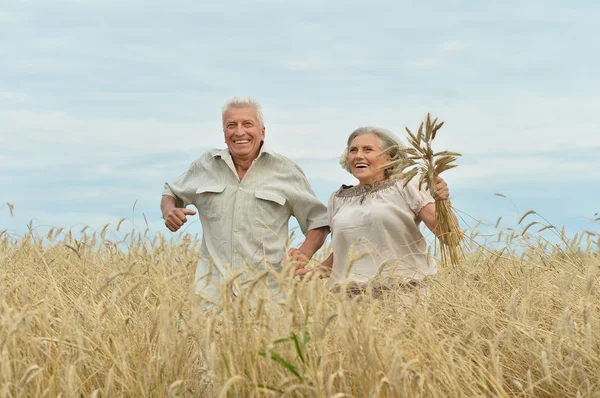 Heureux couple de personnes âgées en été — Photo