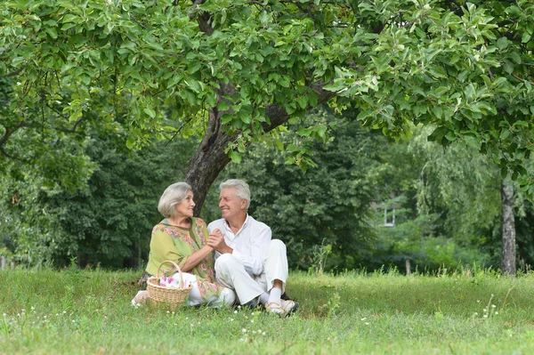 Casal velho divertido em piquenique — Fotografia de Stock