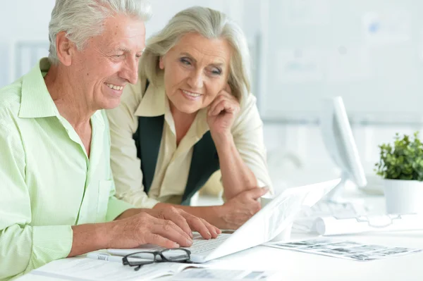 Happy senior couple with laptop — Stock Photo, Image