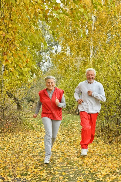 Happy ταιριάζει ανώτερος ζευγάρι άσκηση — Φωτογραφία Αρχείου