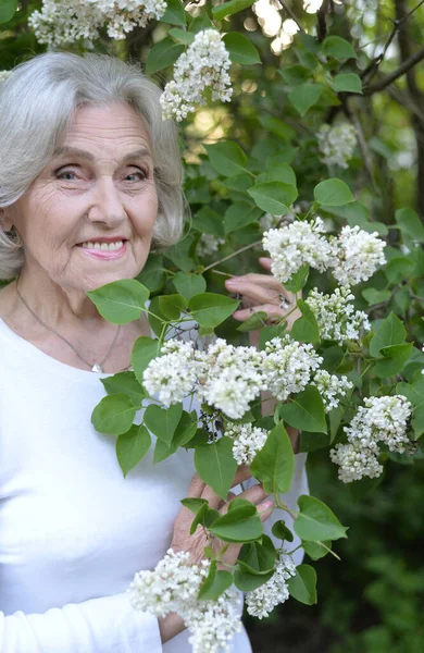 Senior Piękna Kobieta Pozowanie Białymi Bzu Parku — Zdjęcie stockowe