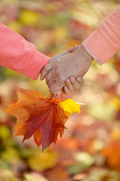 Imagem Cortada Criança Avô Mãos Com Folhas Outono — Fotografia de Stock