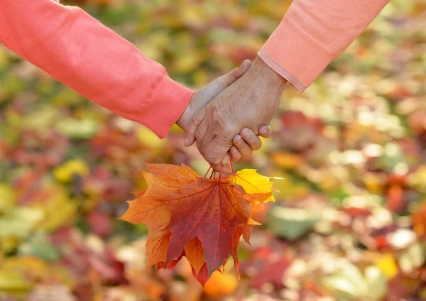 Abgeschnittenes Bild Kind Und Großvater Hände Mit Herbstblättern — Stockfoto