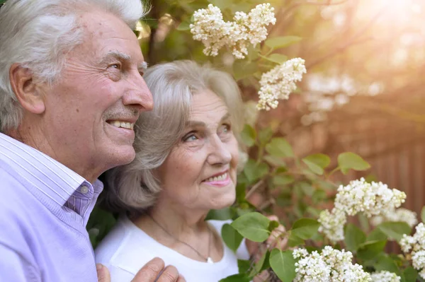 Portret Van Mooi Senior Koppel Door Seringen Het Park — Stockfoto