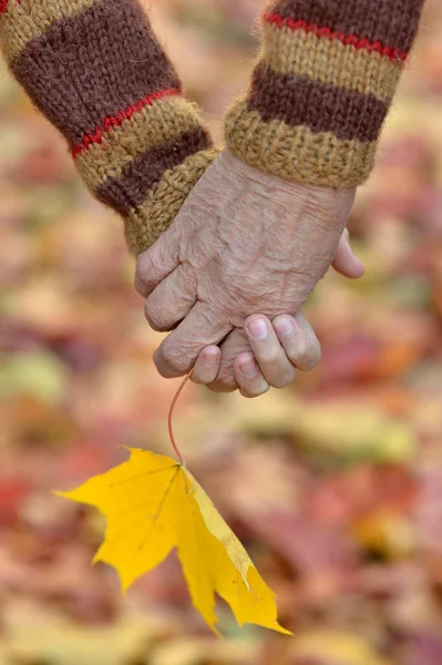 Cropped Image Boy Grandfather Hands Leaf Natural Background — Stock Photo, Image