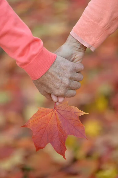 Pareja Ancianos Tomados Mano Con Hoja Juntos — Foto de Stock