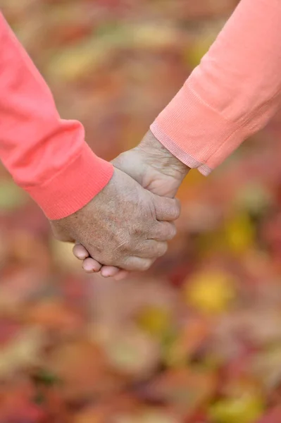 Oudere Echtpaar Houdt Elkaars Hand Bij Elkaar — Stockfoto