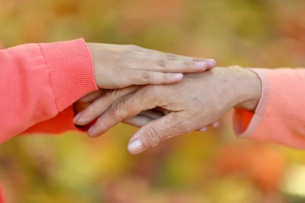 Abgeschnittenes Bild Junge Und Großvater Geben Natürlichen Hintergrund Preis — Stockfoto