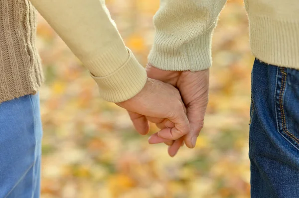 Oudere Echtpaar Houdt Elkaars Hand Bij Elkaar — Stockfoto