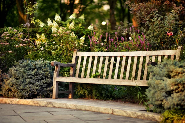 美丽的绿色公园里的长椅 — 图库照片