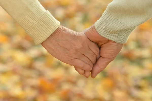 Coppia Anziana Che Tiene Mano — Foto Stock