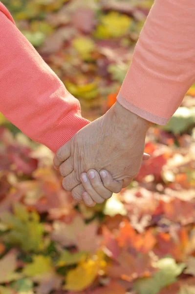 Seniorenpaar Hält Händchen — Stockfoto